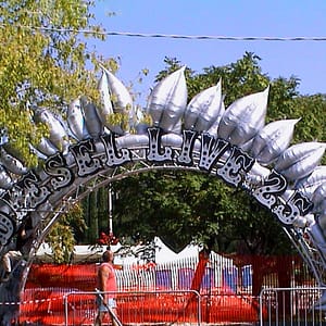 Inflatable silver leaves