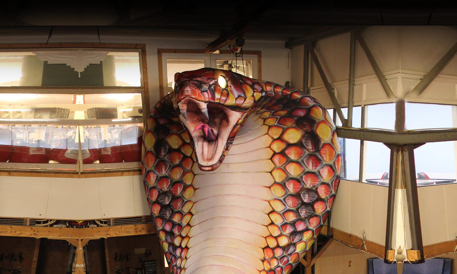 6m inflatable cobra
