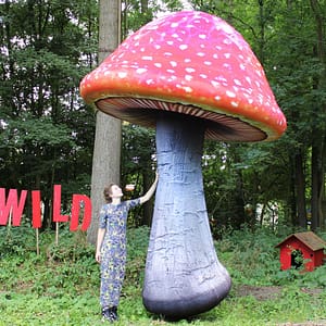 4m inflated mushroom