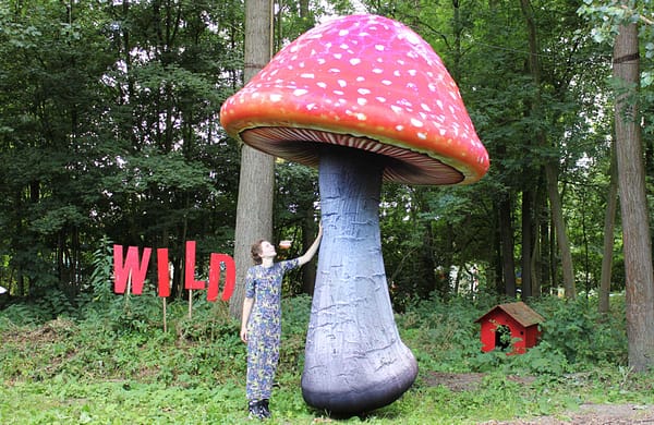 4m inflated mushroom