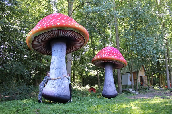 5m and 4m inflated mushrooms
